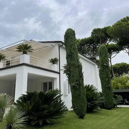 Lucca Splendory Nest *